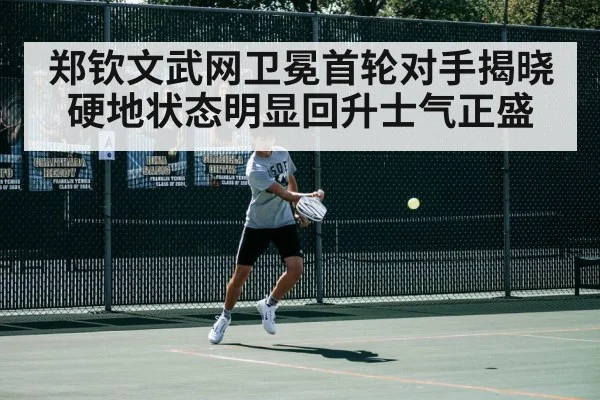 hard court tennis action