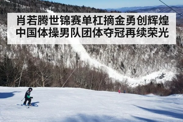 肖若腾世锦赛单杠摘金勇创辉煌 中国体操男队团体夺冠再续荣光